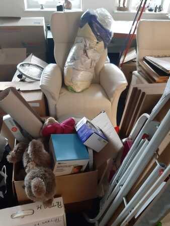 Wohnzimmer mit Umzugskartons, Sessel, Haushaltsgegenständen und Kuscheltier.